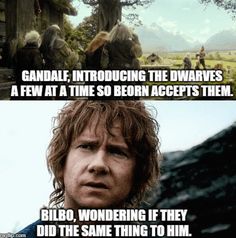 game of thrones meme with the caption that reads, gandalf introduced the dwarfs as a few at time so beborn accepts them