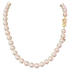 Certified and Appraised by Mikimoto in New York for the amount of $35,435 Estate Mikimoto 44 Pearls LARGE 9.5 mm 17.5 Inches 18 KT Yellow Gold Clasp TRUSTED SELLER SINCE 2002 PLEASE REVIEW OUR 100% POSITIVE FEEDBACKS FROM OUR HAPPY CLIENTS PLEASE SEE ATTACHED MIKIMOTO CERTIFICATE AND APPRAISAL FOR DETAILS FREE PRIORITY SHIPPING DETAILS Stone: Fine Quality Japanese Akoya Pearl Pearl Shape: Round Pearl Color: Pink/White Overtone: Rose Surface: Clean Luster: Good Quality: A No. of Pearls: 44 Measur Luxury White Gold Jewelry With Round Beads, Luxury Yellow Gold Beaded Pearl Necklace, Luxury Yellow Gold Round Beaded Necklace, Japanese Pearls, Akoya Pearl Necklace, Pearl And Diamond Necklace, Mikimoto Pearls, Happy Clients, Real Pearls