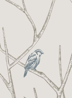 a bird sitting on top of a tree branch in front of a gray wallpaper