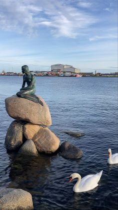 there is a statue on top of some rocks in the water with two swans nearby