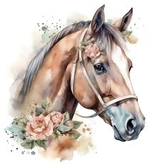 a watercolor painting of a horse with flowers on it's head and bridle