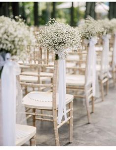 rows of chairs with white sashes and baby's breath flowers tied to them