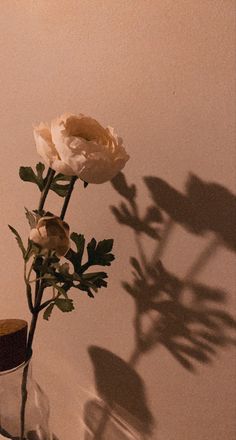 a single white rose in a glass vase on a table next to a wine bottle