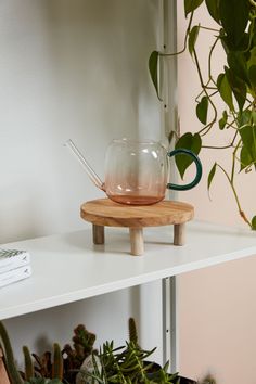 a potted plant sitting on top of a white shelf next to a wooden stand