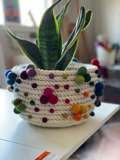 a potted plant with colorful pom - poms sits on top of a table