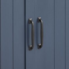 two metal handles on a blue door