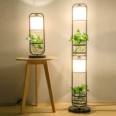 two planters with plants growing in them sitting on top of a table next to a lamp