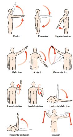 an image of different postures for the body and hand gestures on white paper with red text