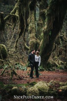 two people standing in the middle of a forest with mossy trees and moss growing on them