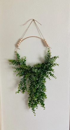 a green plant hanging on the wall with some string attached to it's sides