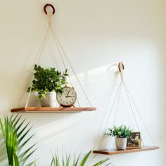 two hanging shelves with plants and clocks on them