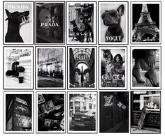 black and white photograph of posters with dogs, cats, and other things in them