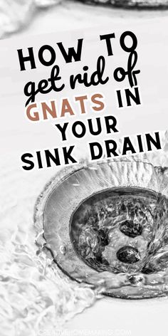 a sink drain with the words how to get rid of gnats in your sink drain