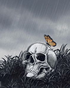 a drawing of a skull in the grass with a butterfly on it's head