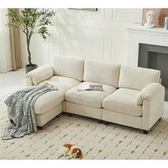 a dog laying on the floor in front of a white couch with a beige blanket