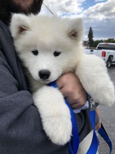 a man holding a white puppy in his arms