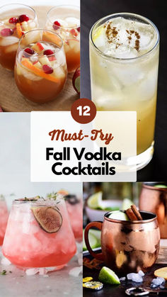 Fall Vodka Cocktails Autumn Mixed Drinks, Yummy Fall Cocktails, Cute Vodka Cocktails, Fall Apple Cocktail Recipes, Fall Frozen Cocktails, Housewarming Cocktails, Fall Inspired Vodka Cocktails, Spiked Fall Drinks, Pretty Vodka Cocktails