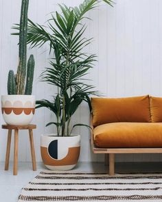 two potted plants sit next to each other in front of a couch and side table