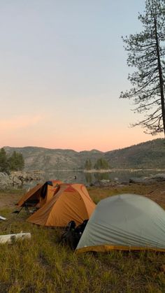 there are many tents set up in the grass near some trees and mountains at sunset