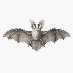 a drawing of a bat flying through the air with its wings spread out and it's eyes closed