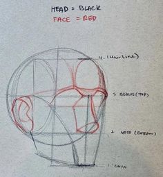 a drawing of the head and neck area