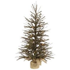 The Holiday Aisle 2' Brown Vienna Twig Artificial Christmas Tree Twig Christmas Tree, Burlap Christmas Tree, Twig Tree, Christmas Tabletop, Green Tips, Tabletop Christmas Tree, Artificial Trees, Artificial Tree, White Led Lights