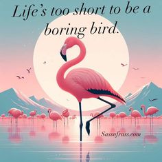 a pink flamingo is standing in the water with mountains and birds behind it that says life's too short to be a boring bird