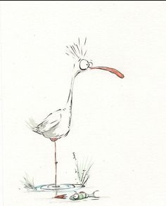 a drawing of a stork standing in the water with its head turned backwards