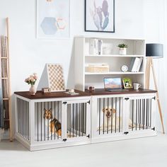 two dogs are sitting in their kennels