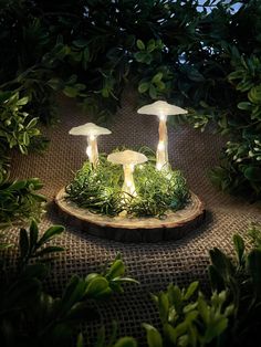 three mushrooms sitting on top of a tree stump in the middle of a forest at night