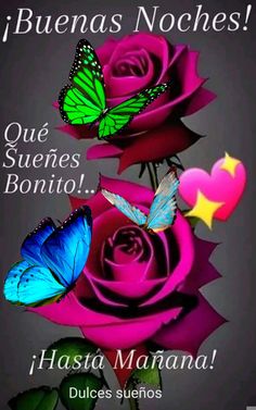 two butterflies flying over pink roses with the caption'que sueres bonito '