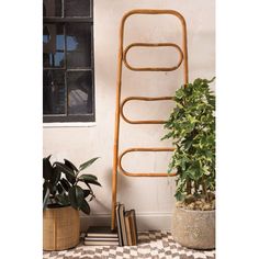 a plant and some books are on the floor next to a ladder that is leaning against a wall