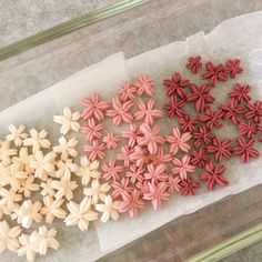 there are many different colored flowers on the table together, including pink and white ones