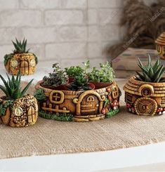 three potted plants sitting on top of a table next to other pots with plants in them