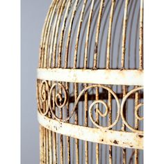 an old metal bird cage with rusted paint