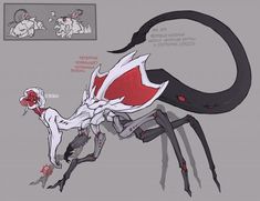 a drawing of a giant spider with red and white markings on it's legs