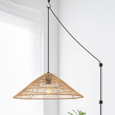 a bamboo lamp hanging from the ceiling next to a potted plant on a table