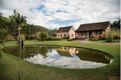 a pond in front of a house surrounded by lush green grass and palm trees with a sky filled with clouds