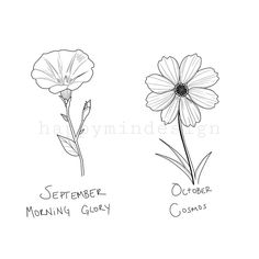 three different types of flowers on a white background