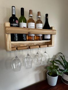 wine glasses and bottles are hanging on a wall shelf above a potted houseplant