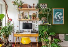 a room with green walls and lots of plants on the shelves above the computer desk