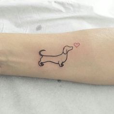 a small dog with a heart tattoo on the arm