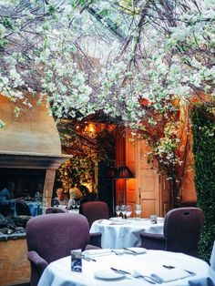 an outdoor dining area with tables, chairs and trees in blooming overhangs