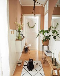 a black cat sitting on top of a rug in front of a mirror and door