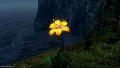 a single yellow flower sitting on top of a lush green hillside next to the ocean