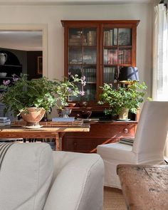 a living room filled with furniture and lots of plants on top of a wooden table