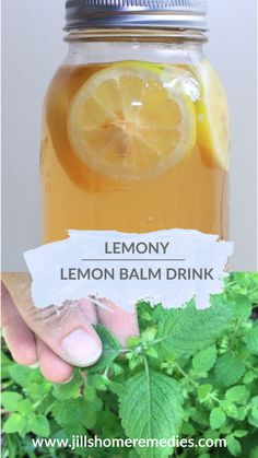 lemon balm drink in a mason jar