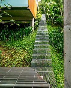 an open door leading into a lush green yard with stairs and plants on either side