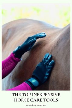 the top expensive horse care tools you need to keep your horses happy and healthy while riding