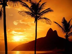 the sun is setting behind mountains and palm trees on the beach in front of it